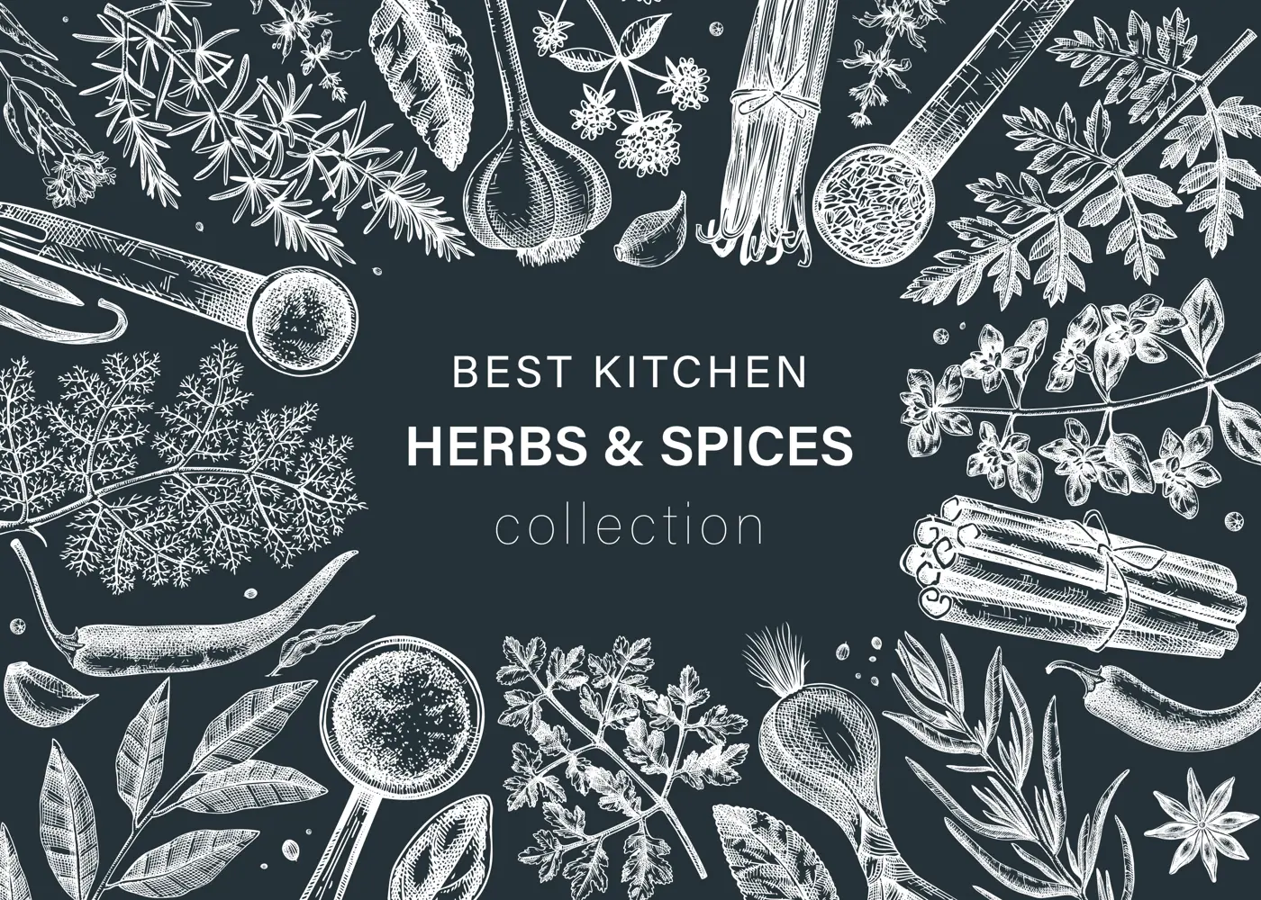 Herbs And Spices Frame Illustration